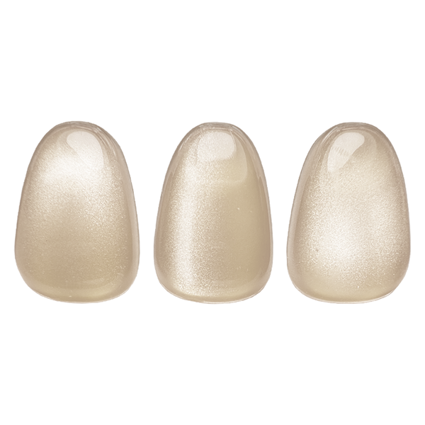 ART NAIL KOREAN CAT-01 10g